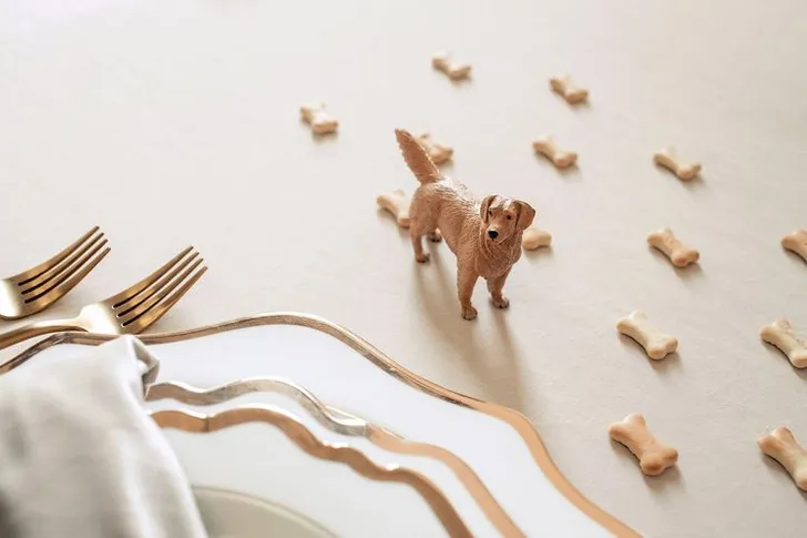 Айвори сет с собакой