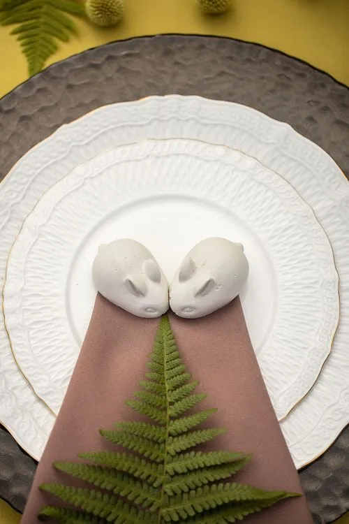 Горчично-шоколадный сет с папортником