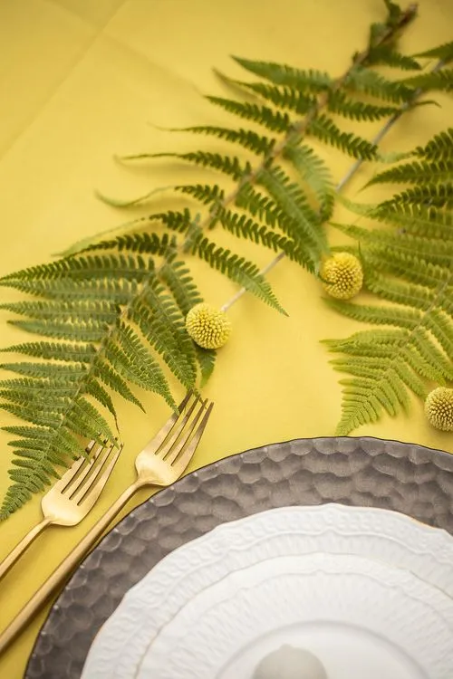 Горчично-шоколадный сет с папортником