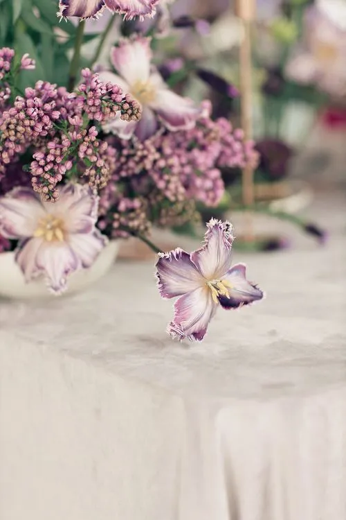 Лавандовые оттенки за прямоугольным столом