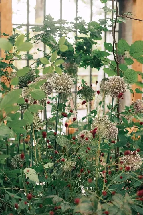 Лесной сет за большим круглым столом