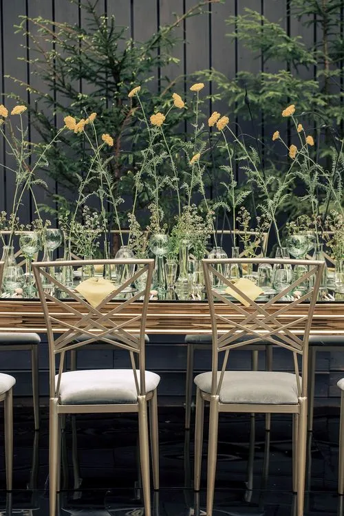 Полевой сет за зеркальным прямоугольным столом